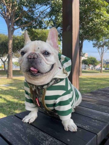 瑀 - 帶麥可去散步