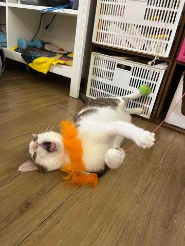 Tracy - Game over Tracy - Game over