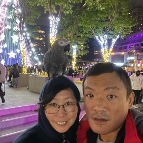 提供1101台泥服務的專家簡伯勳