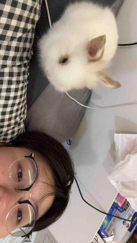 黃妍晴 - 我跟我的兔子 我很喜歡動物