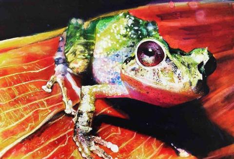 巫文鈞 - 麥克筆表現