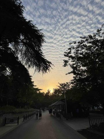 提供雲端服務的專家廖敏富