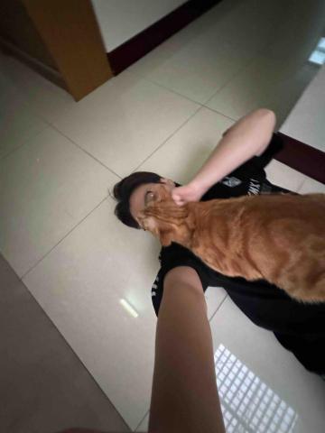 黃妍晴 - 還有跟我們家的貓咪