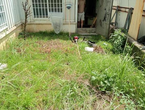 王東明 - 長溪路住家空地除草前(二) 王東明 - 長溪路住家空地除草前(二)