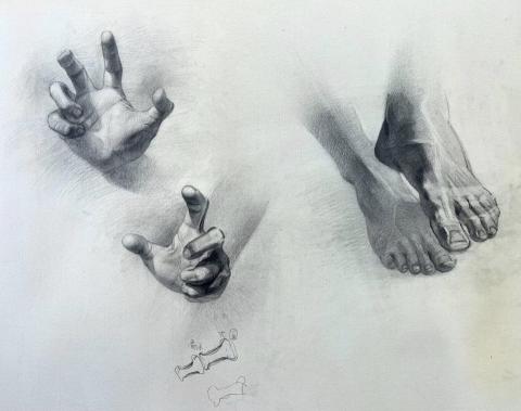 Audrey - 素描作品