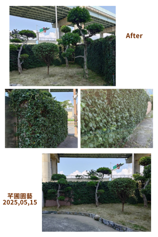 芊圃園藝景觀庭園 - 