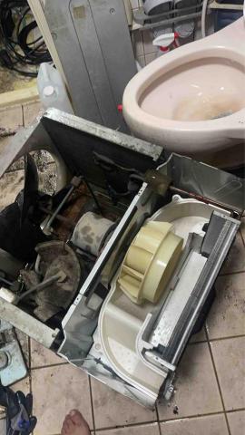 盧建諭 - 清洗後