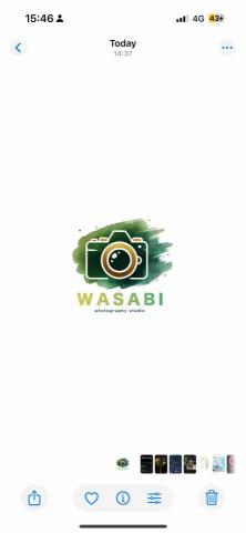 提供沙龍照台中服務的專家wasabi