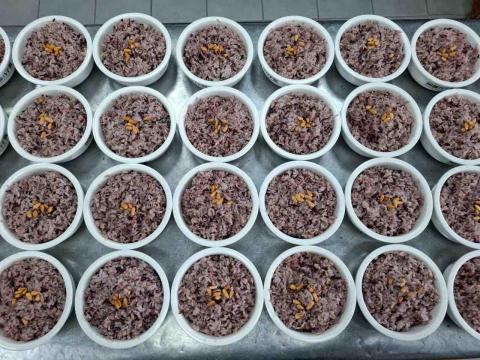 耿鈺婷 - 紫米松子飯