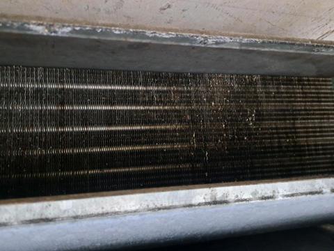 卓文勝 - 吊隱清洗