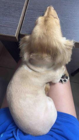 瑞塔貝瑞保姆中心 - 