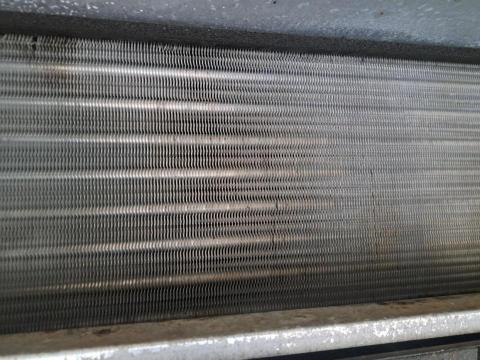 卓文勝 - 吊隱清洗