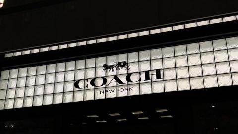 Too - 品牌形象照