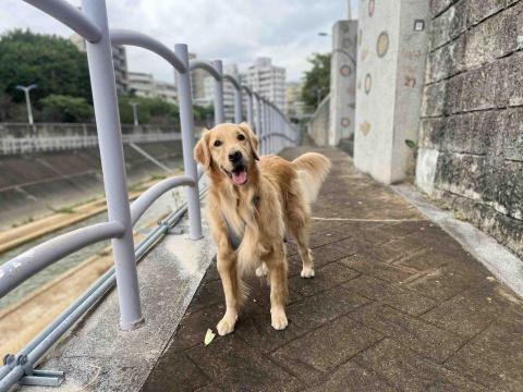 瑞塔貝瑞保姆中心 - 