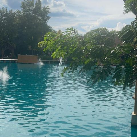 提供斷食療程服務的專家yyt