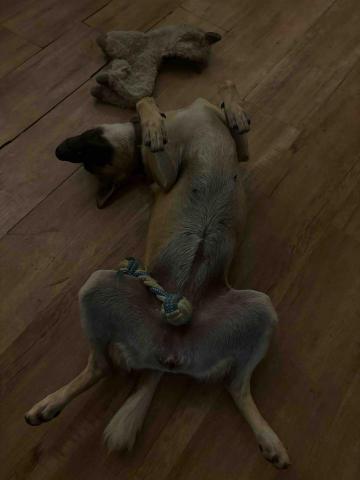 瑞塔貝瑞保姆中心 - 