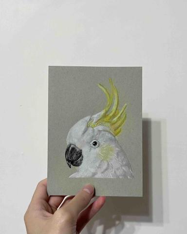 邱子晏 - 動物色鉛筆畫