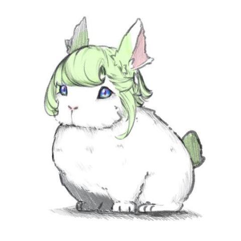 提供皮包店服務的專家YURI MI