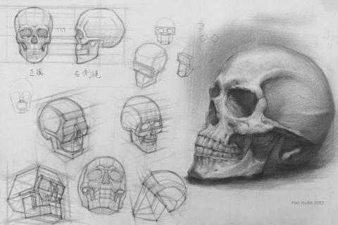 Han studio  邱柏翰 - 不是畫表層，而是畫建立立體邏輯：
方體轉向 × 骨點基準 × 結構組合

這不是單純的素描課，而是把「觀察」變成有邏輯的動作。
你會學會：

●頭骨轉角的分解方法

●如何從側面找到五官落點

●用透視與體塊提升空間理解力

適合：對人物設計、結構素描有興趣的創作者
想從「畫起來像」進步到「畫得出結構」，
歡迎私訊預約課程！

