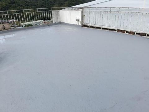 大禹治水工程行 - 屋頂防水