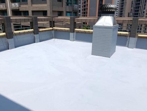 大禹治水工程行 - 屋頂防水