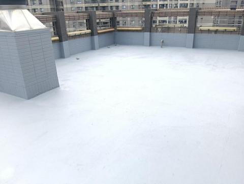 大禹治水工程行 - 屋頂防水