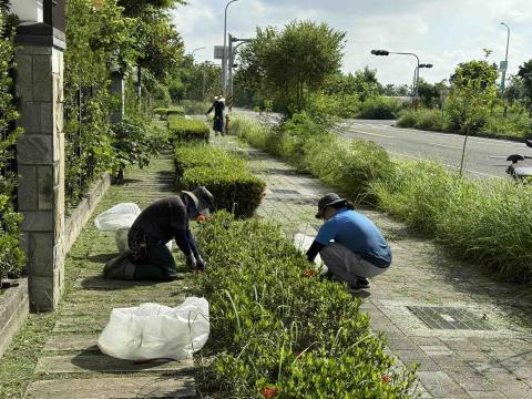 木熙園藝 - 人工除草