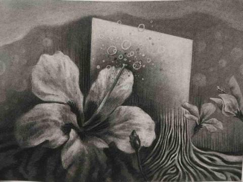 李寶玲 - 炭筆畫