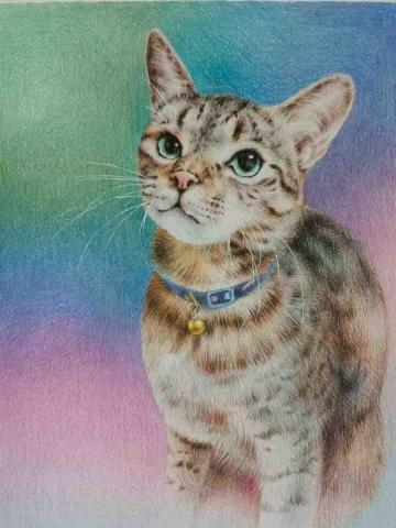 李寶玲 - 色鉛筆