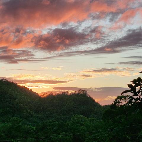 提供髮型師學徒服務的專家鄭先生