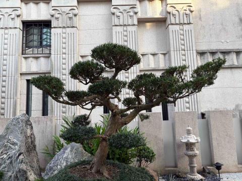 東美園藝 - 施工後