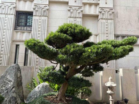 東美園藝 - 施工前