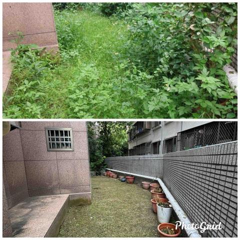 除草特攻隊 - 庭院除草