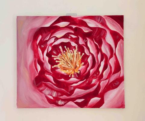 漫汐萱草設計所-Daylilystide - 印象花｜Peony｜油畫創作