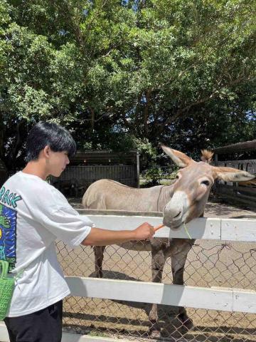 提供學測數b服務的專家黃志中