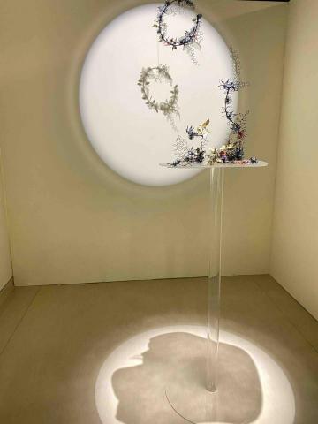 提供受眾包服務的專家Wang