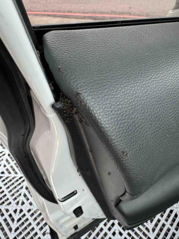 穩銀車體專業美研 - 螞蟻大軍