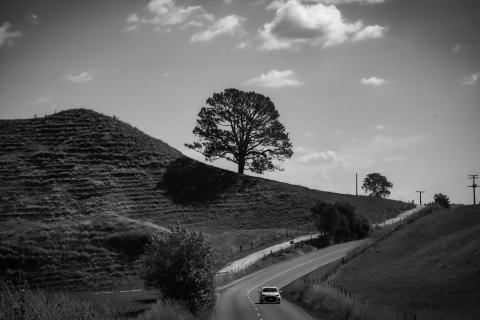 Andy Cai - 黑白對比風格