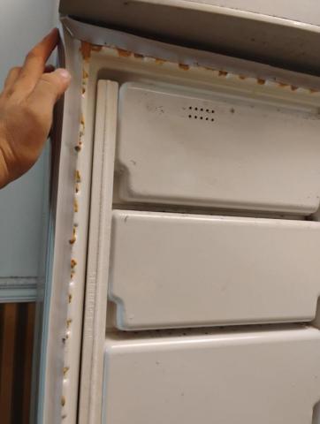 煜伸水和電維修 - 冰箱膠條更換