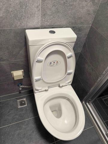 杜之容 - 馬桶清潔