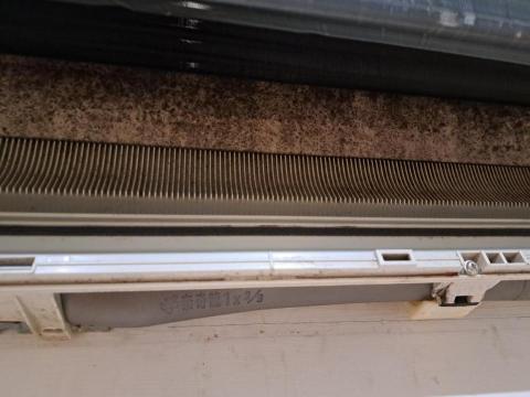 卓文勝 - 去年洗的