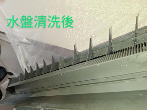 陳侑楠 - 水盤清洗後