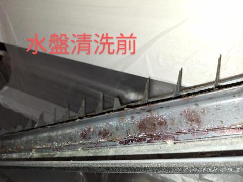 陳侑楠 - 水盤清洗前
