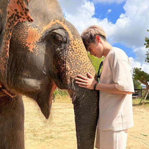 提供價目表服務的專家Ala