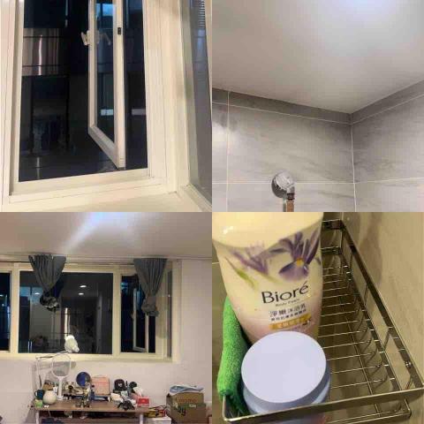 天淨居家清潔/煮飯管家 - 天花板、廁所、牆壁除霉