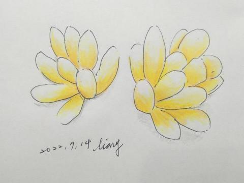 李亮璇 - 自行練習