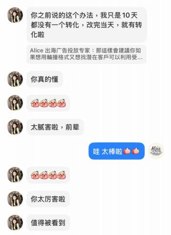 Alice - 作為廣告策略顧問協助解決廣告問題