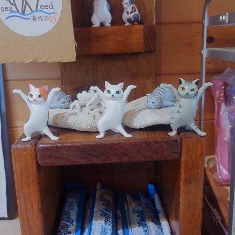 提供關西煮服務的專家張遼