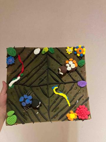 陳韋晴-畫畫教學🎨 - 教導五歲學生作品