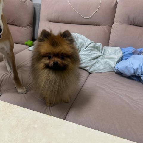 葉怡君 葉怡君